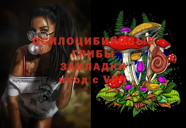 мдма Богданович