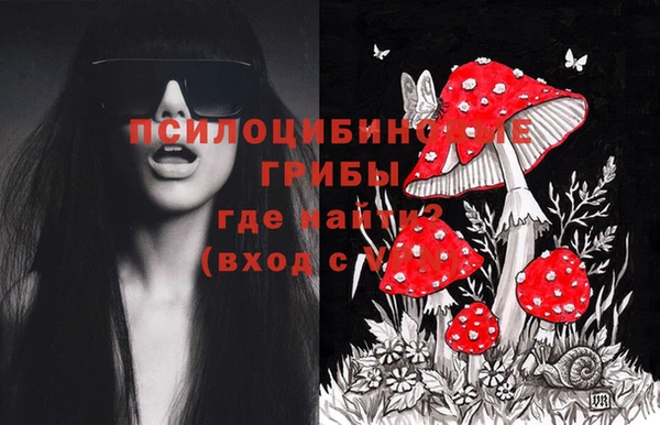 мдма Богданович