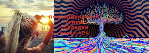 дистиллят марихуана Богородск