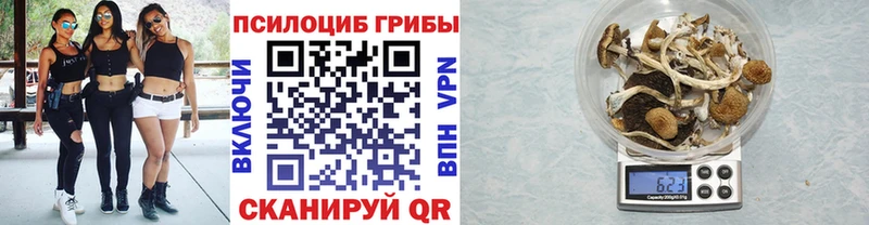 Купить где  Меленки  Галлюциногенные грибы мухоморы 